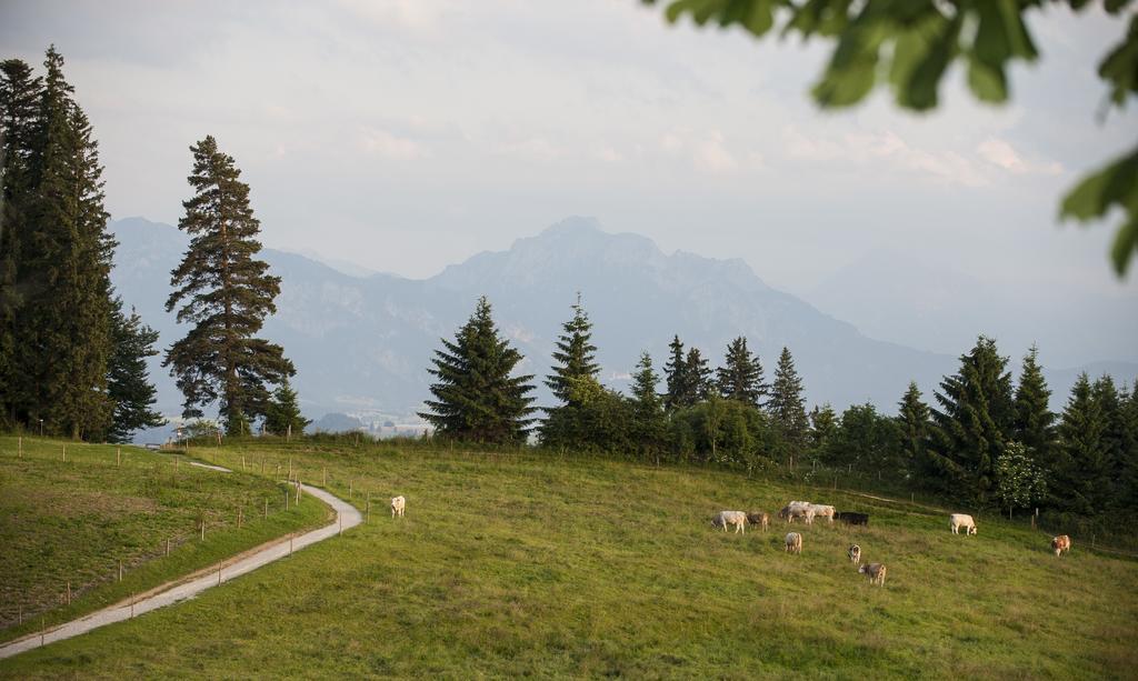 Panoramagasthof Auf Dem Auerberg Bernbeuren Zewnętrze zdjęcie